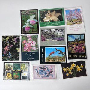 Lot of 11 Vintage and Modern Postcard Floral Flowers Greetings Used and Unused